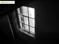 Fenster 